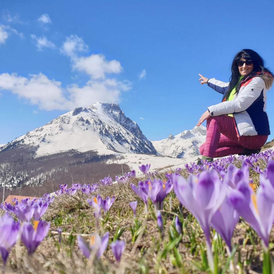 Konak Mara- Komovi Andrijevica Exteriér fotografie
